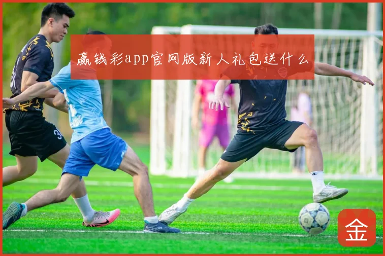 赢钱彩app官网版新人礼包送什么