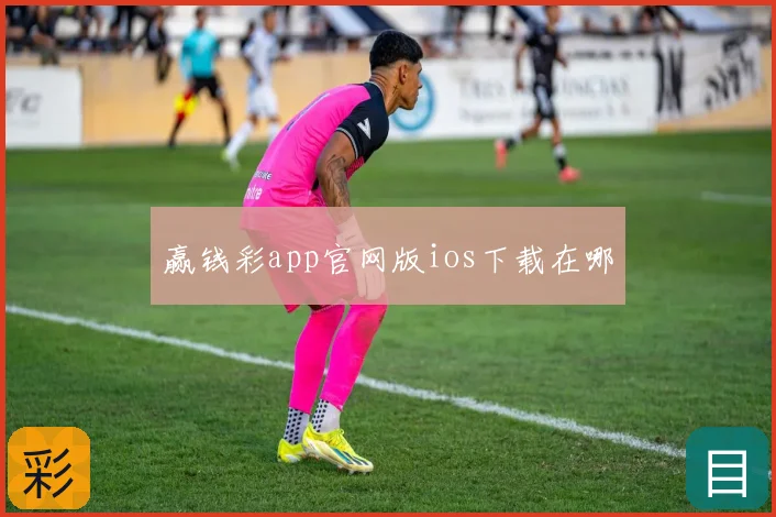 赢钱彩app官网版ios下载在哪