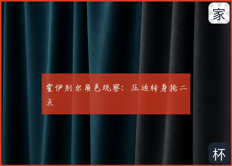 霍伊别尔角色观察:压迫转身抢二点